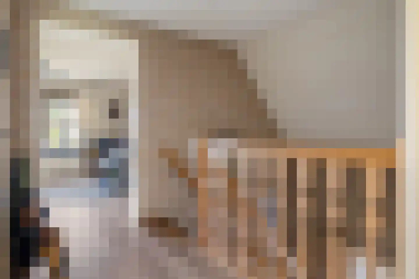 Veenroede 23 Emmer-Compascuum thumbnail 23