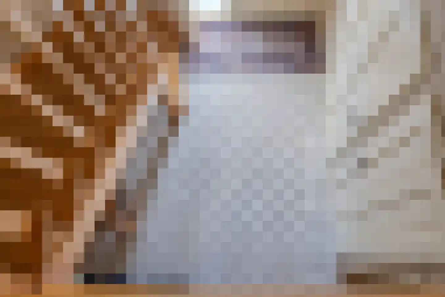 Veenroede 23 Emmer-Compascuum thumbnail 24