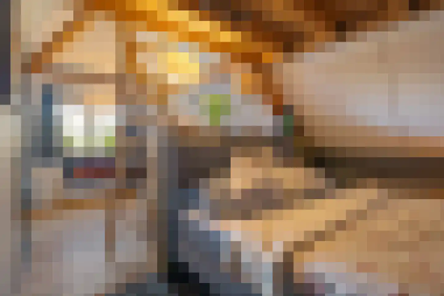 Veenroede 23 Emmer-Compascuum thumbnail 38
