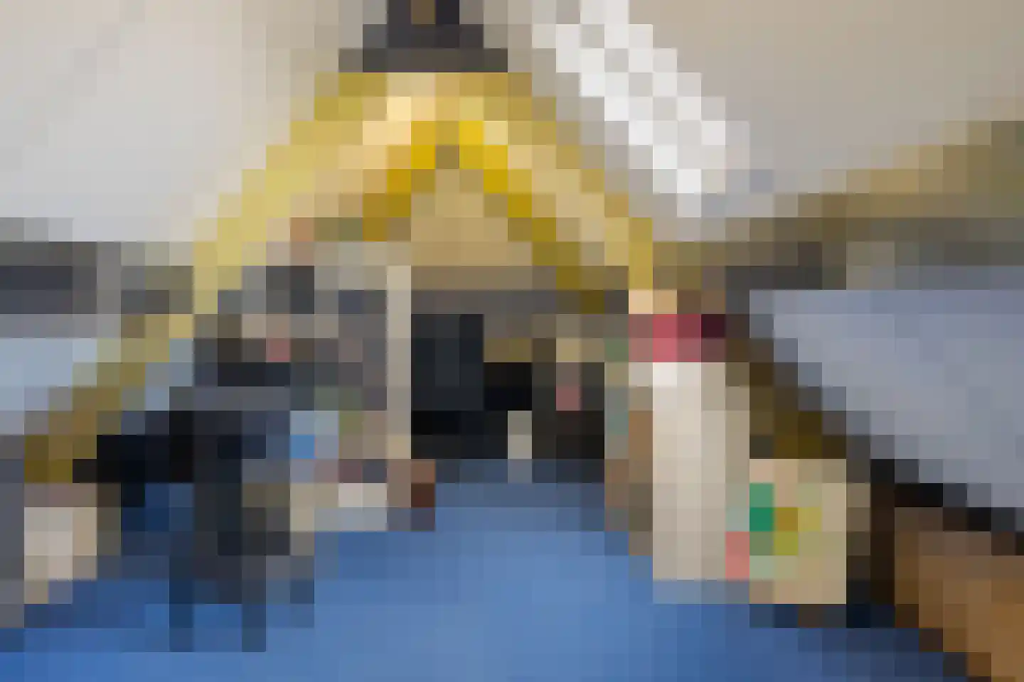 Veenroede 23 Emmer-Compascuum thumbnail 40