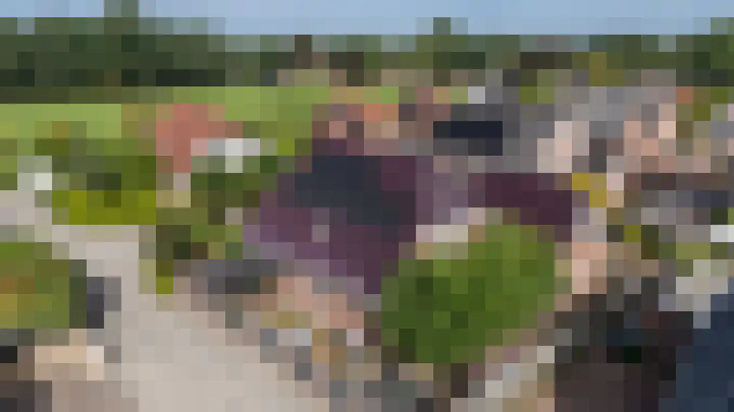Veenroede 23 Emmer-Compascuum thumbnail 42