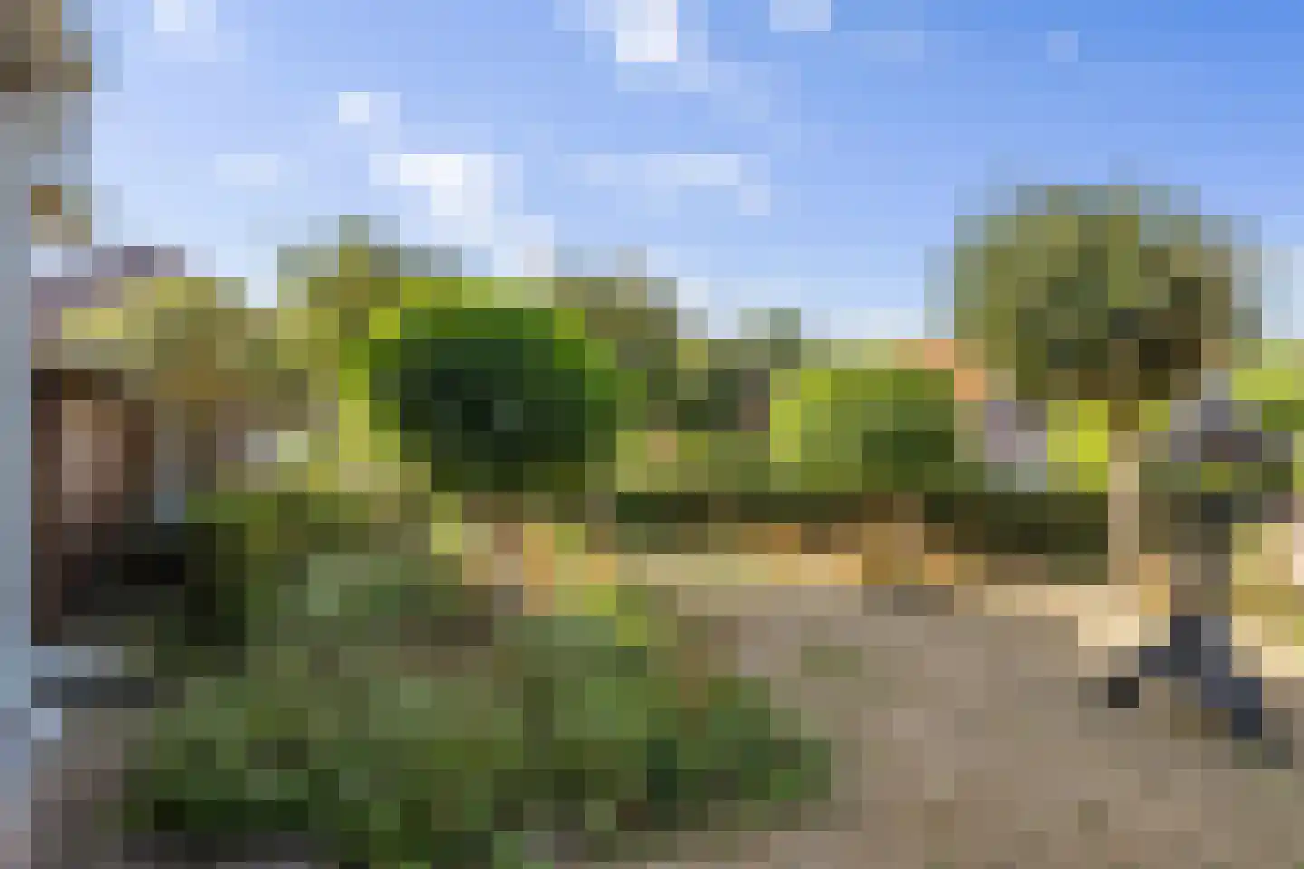Veenroede 23 Emmer-Compascuum thumbnail 45