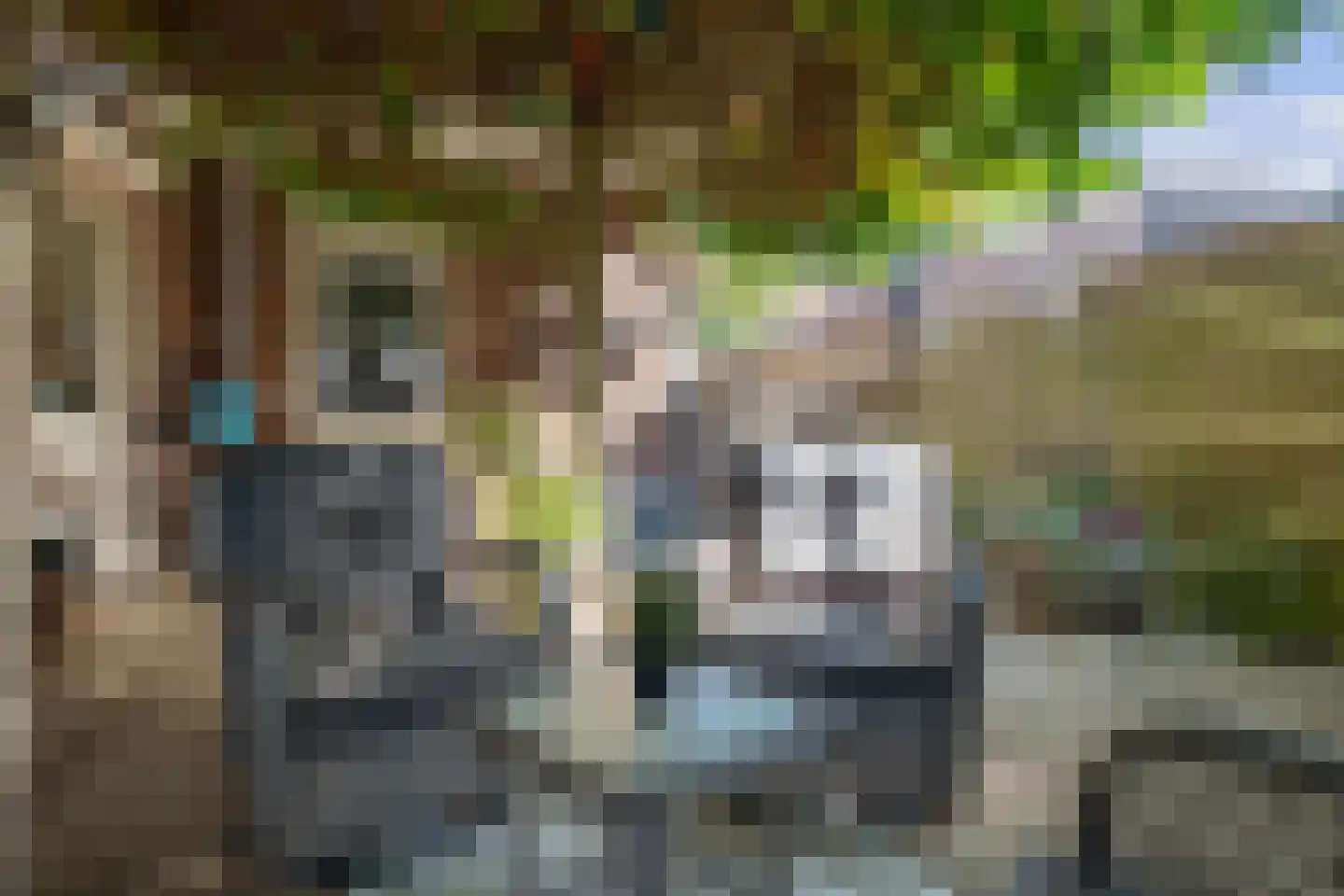 Veenroede 23 Emmer-Compascuum thumbnail 46