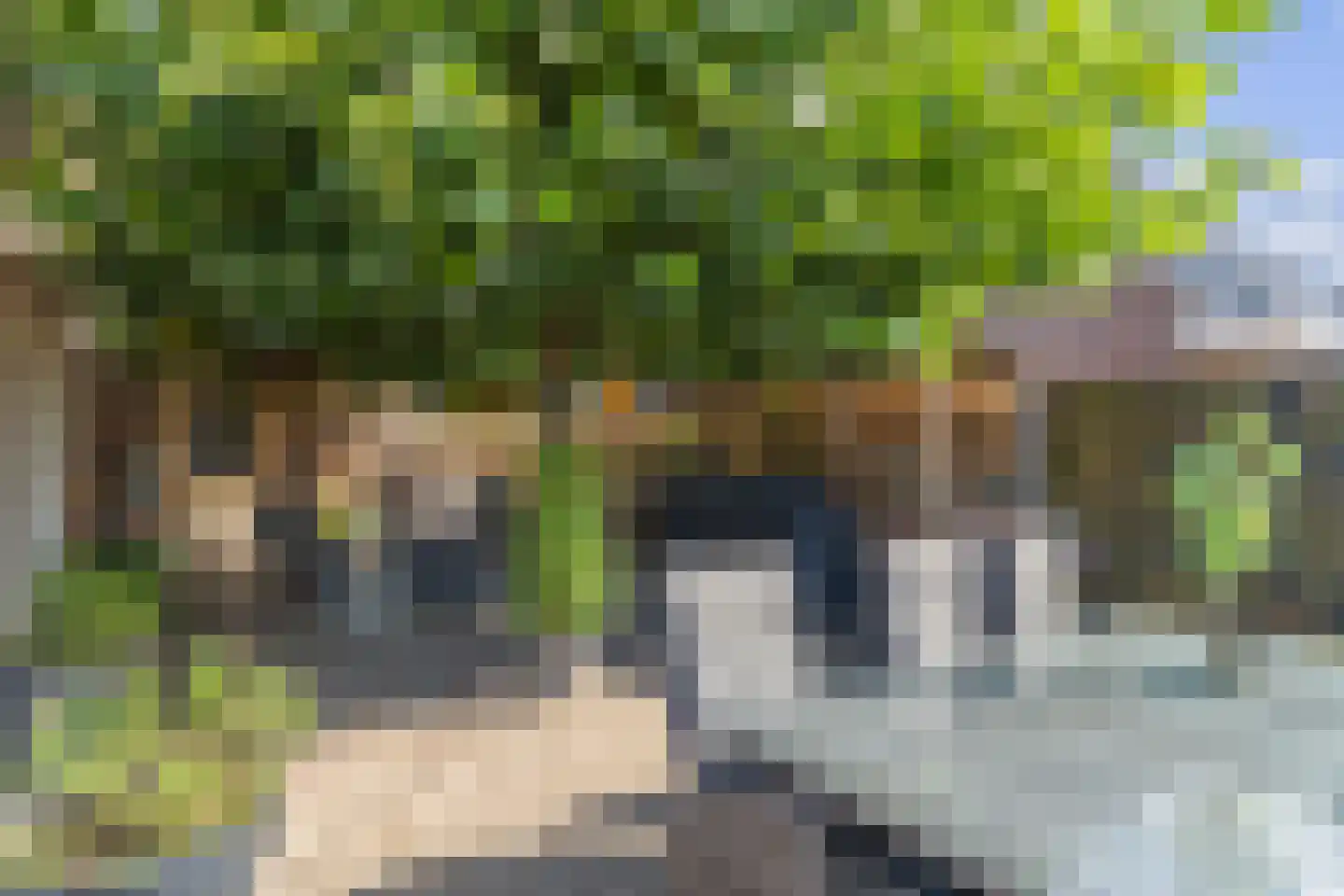 Veenroede 23 Emmer-Compascuum thumbnail 47