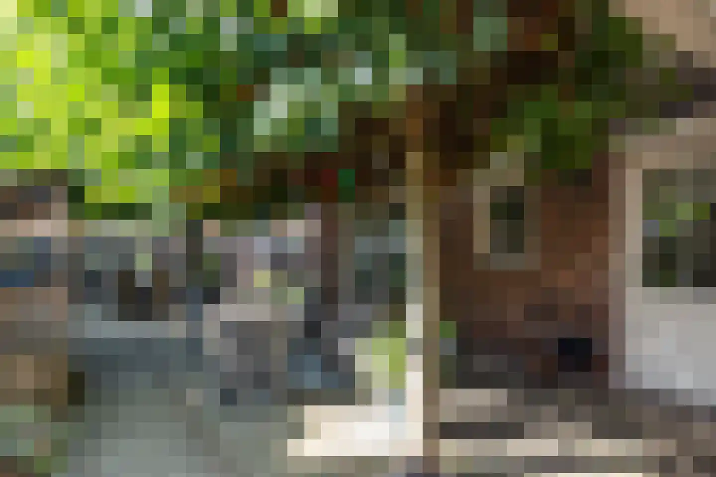 Veenroede 23 Emmer-Compascuum thumbnail 50