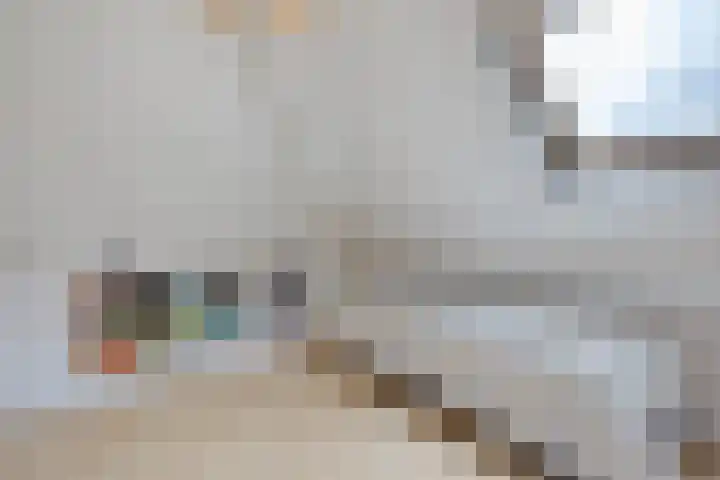Veenroede 26 Emmer-Compascuum thumbnail 25