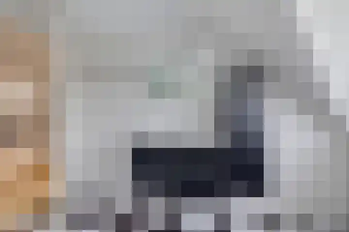 Veenroede 26 Emmer-Compascuum thumbnail 30