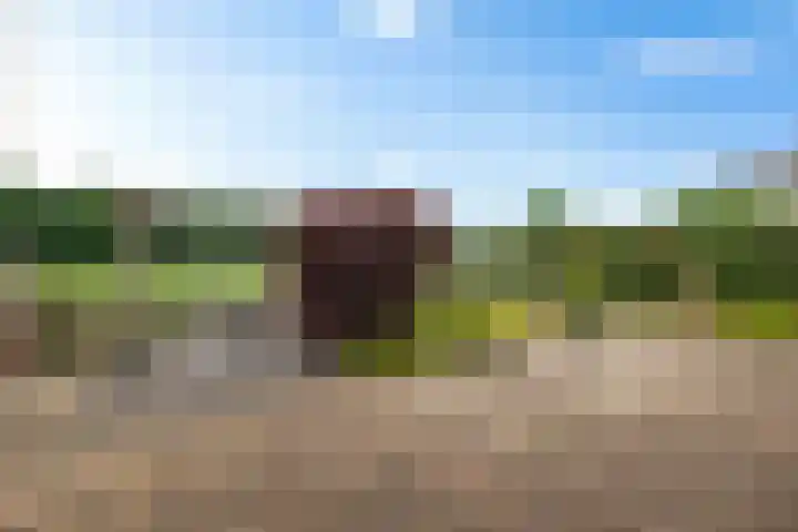 Veenroede 26 Emmer-Compascuum thumbnail 35