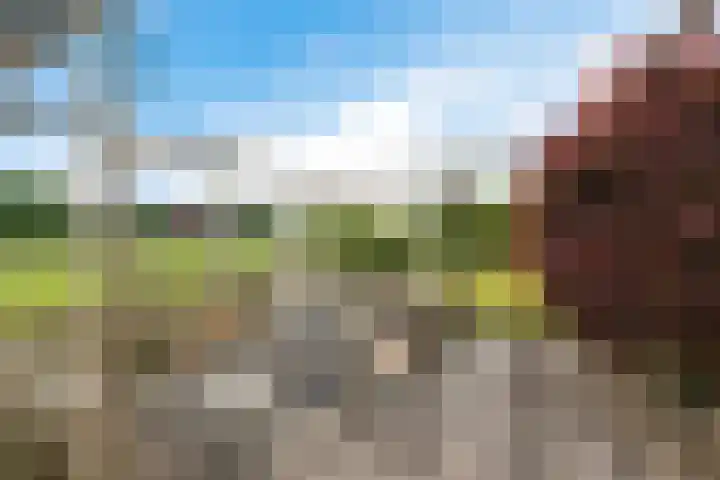 Veenroede 26 Emmer-Compascuum thumbnail 36