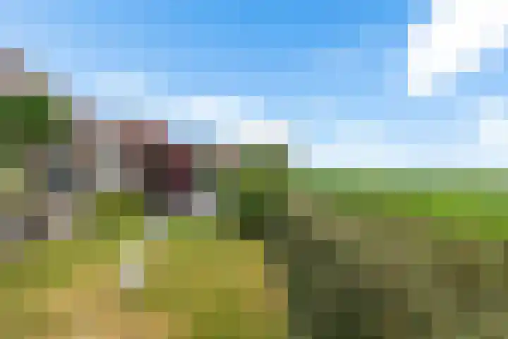 Veenroede 26 Emmer-Compascuum thumbnail 37