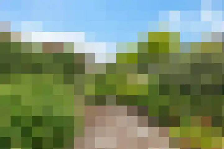 Veenroede 26 Emmer-Compascuum thumbnail 39