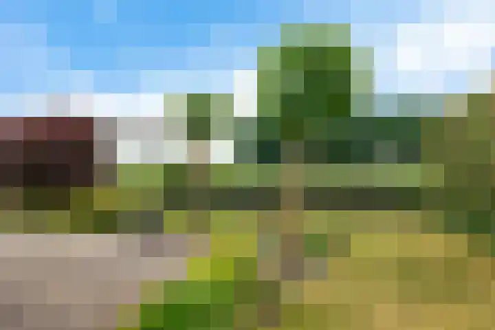 Veenroede 26 Emmer-Compascuum thumbnail 40