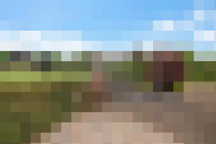 Veenroede 26 Emmer-Compascuum thumbnail 41
