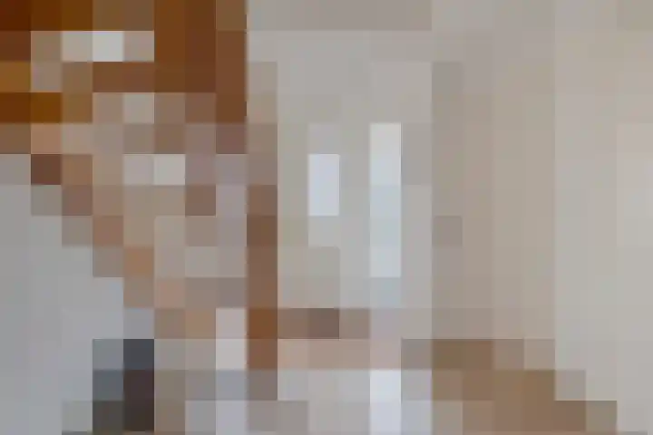 Veenroede 26 Emmer-Compascuum thumbnail 6