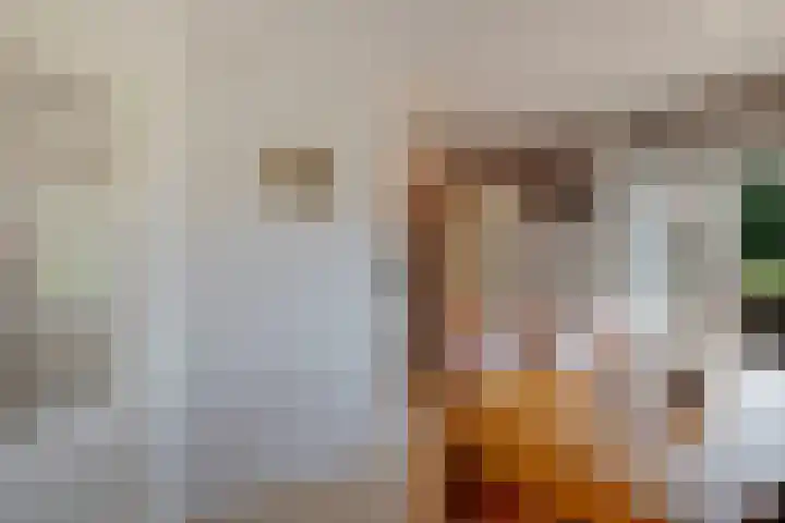Veenroede 26 Emmer-Compascuum thumbnail 9