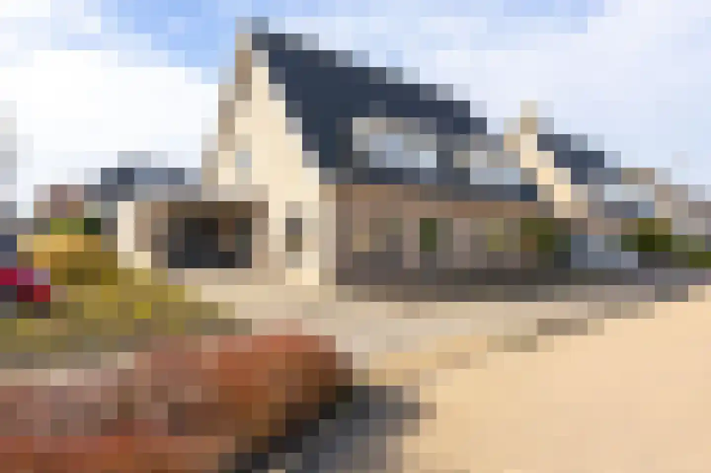 Veenrug 82 en Wognum