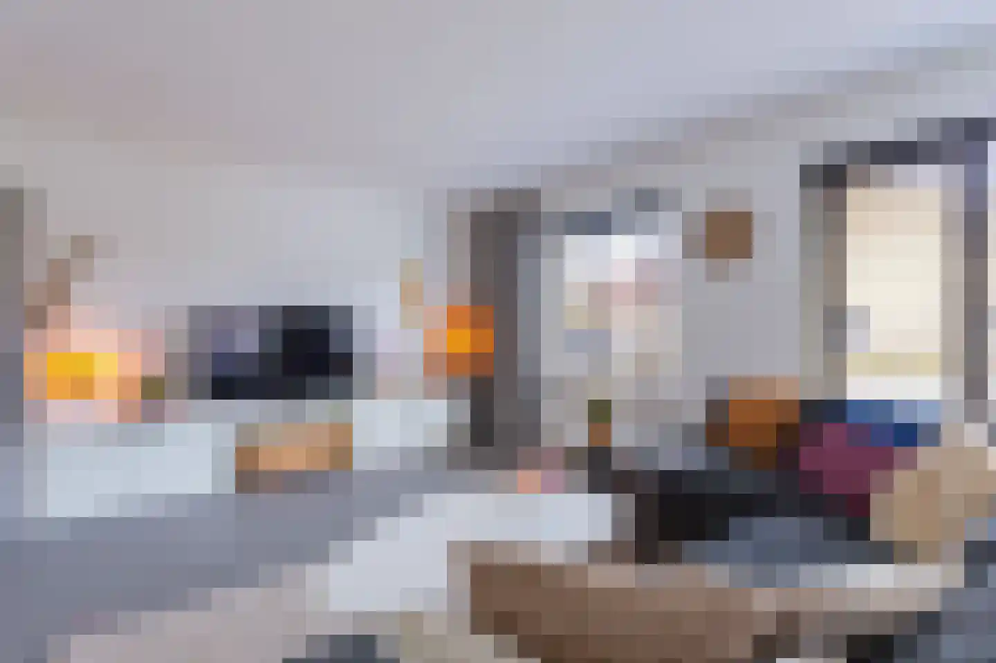 Veenrug 82 Wognum thumbnail 10
