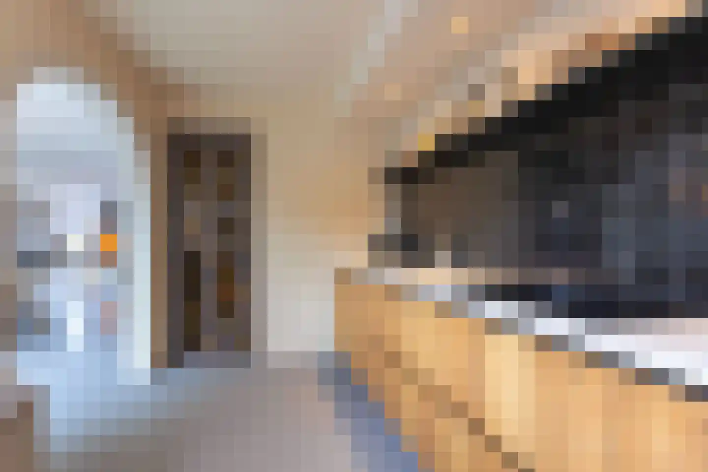 Veenrug 82 Wognum thumbnail 18
