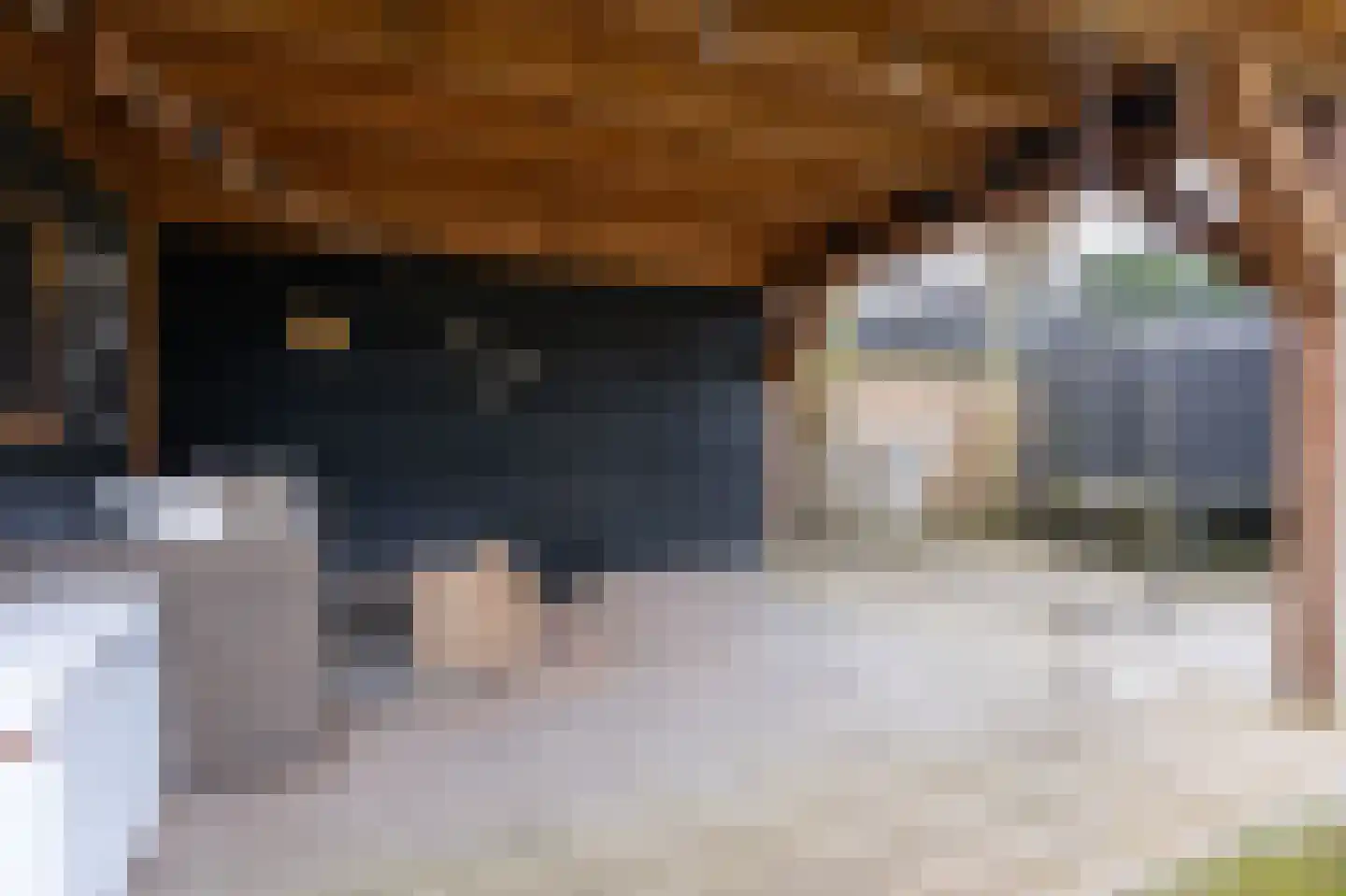 Veenrug 82 Wognum thumbnail 44