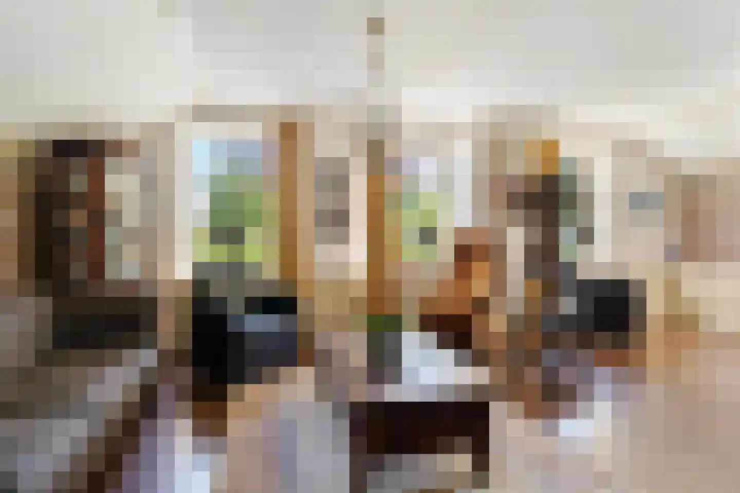 Veenschapsweg 15 Coevorden thumbnail 13