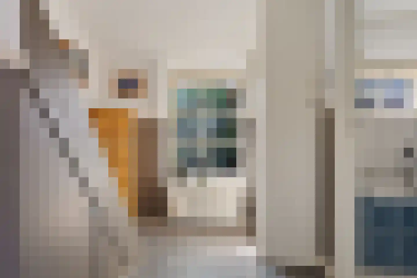 Veenschapsweg 15 Coevorden thumbnail 18