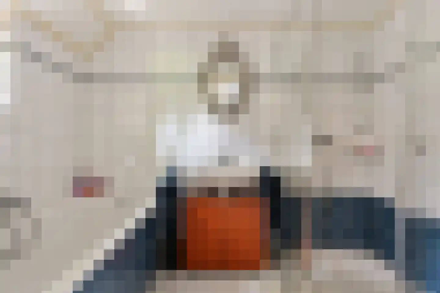 Veenschapsweg 15 Coevorden thumbnail 19
