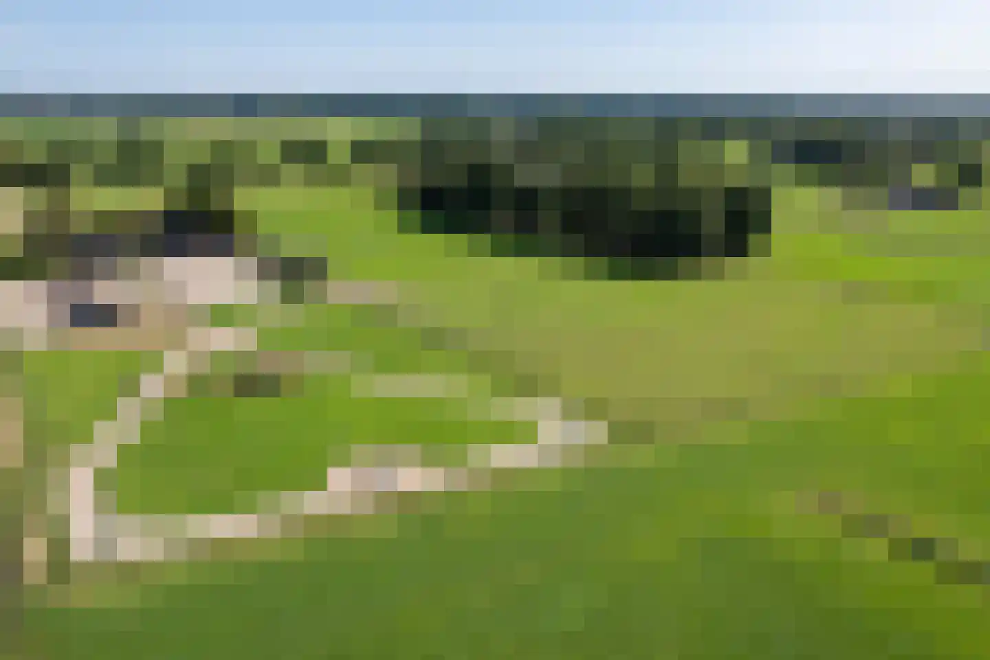 Veenschapsweg 15 Coevorden thumbnail 27