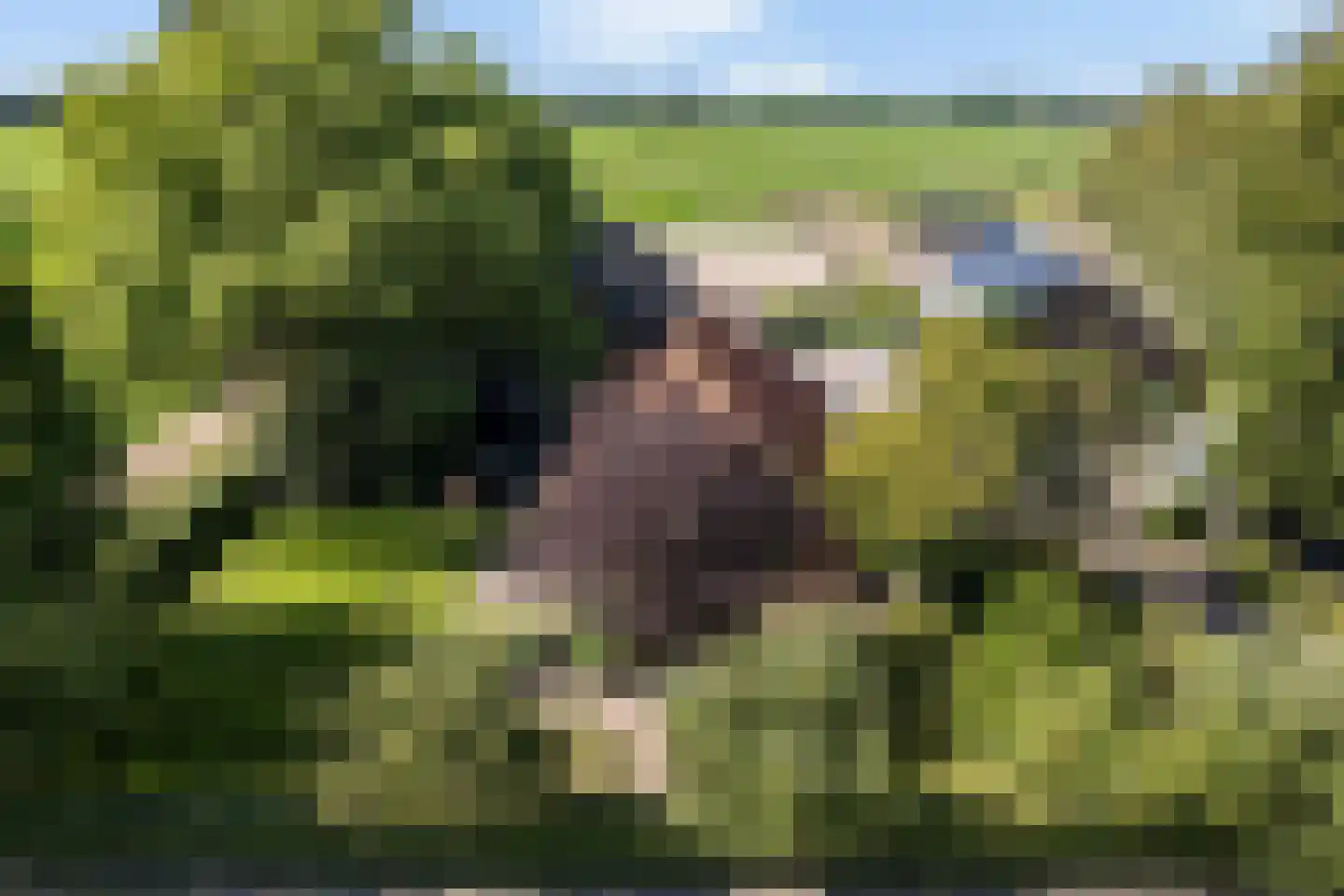 Veenschapsweg 15 Coevorden thumbnail 28