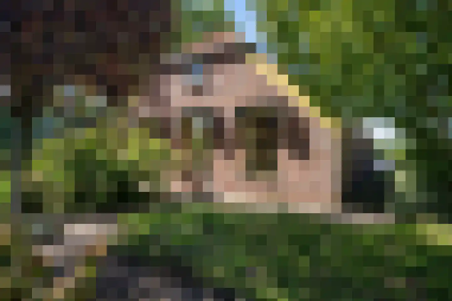 Veenschapsweg 15 Coevorden thumbnail 29