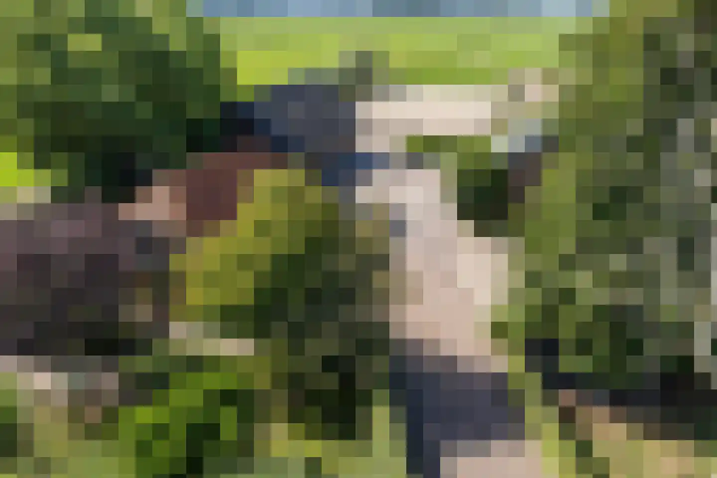 Veenschapsweg 15 Coevorden thumbnail 30