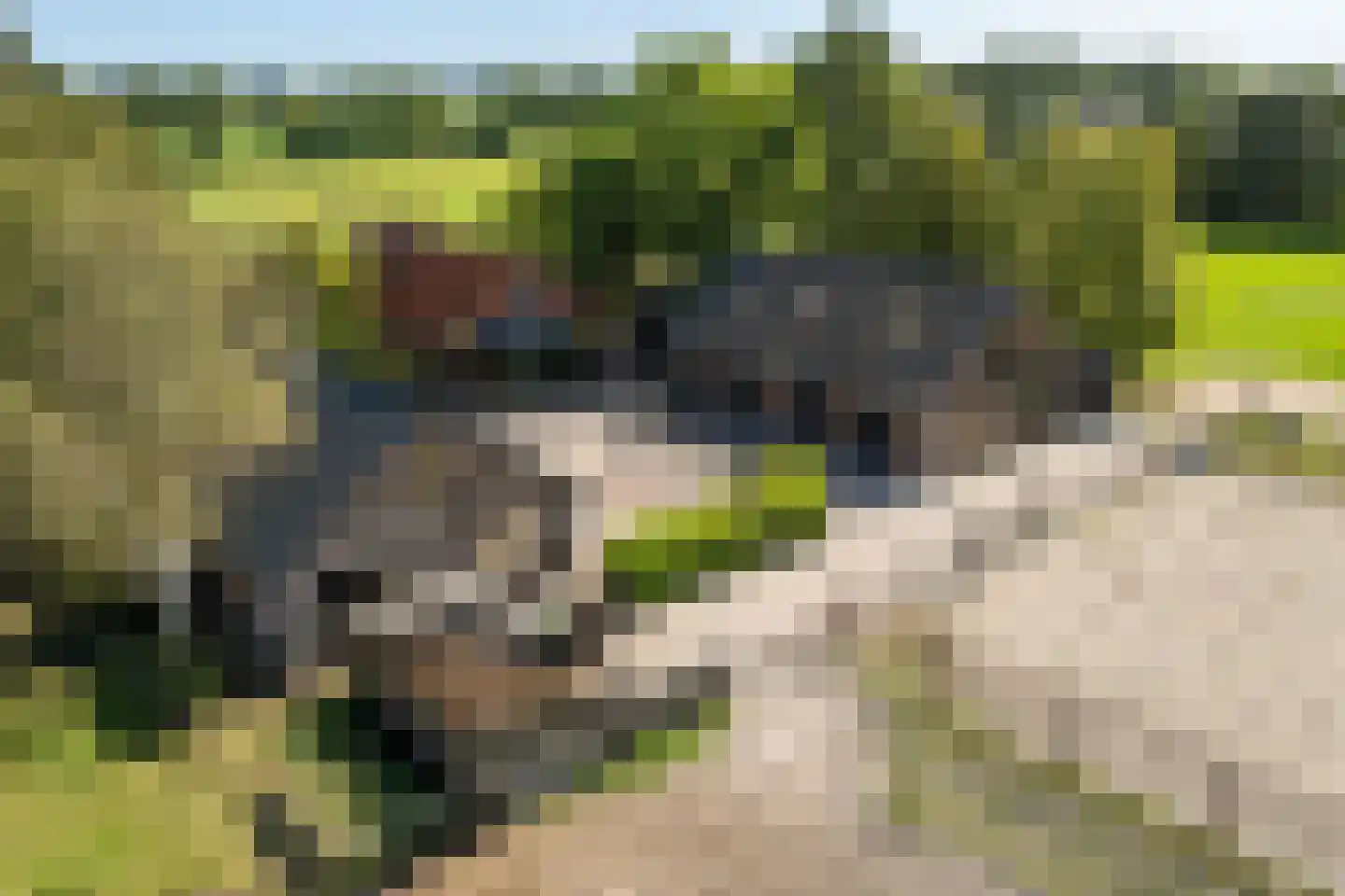 Veenschapsweg 15 Coevorden thumbnail 31