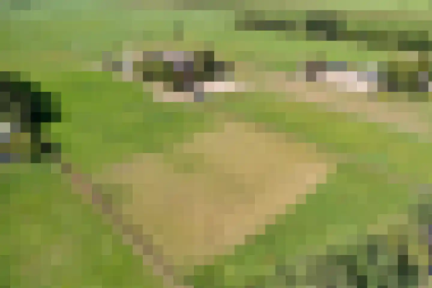 Veenschapsweg 15 Coevorden thumbnail 33