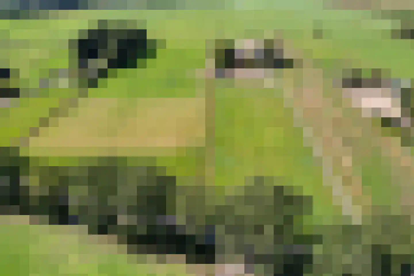Veenschapsweg 15 Coevorden thumbnail 35