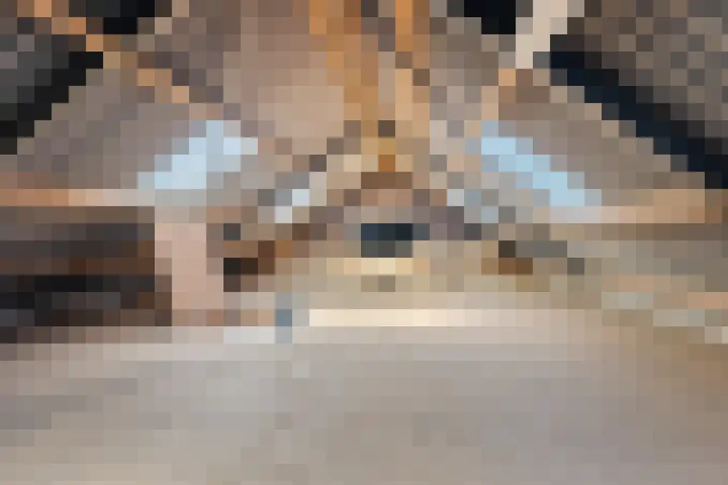 Veenschapsweg 15 Coevorden thumbnail 46