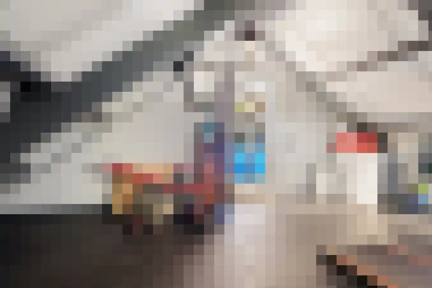 Veenschapsweg 15 Coevorden thumbnail 55
