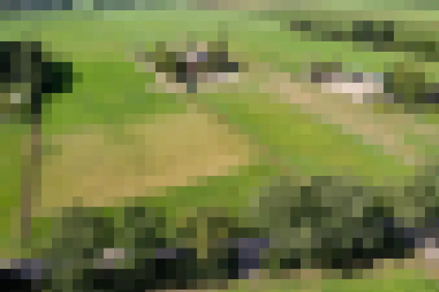Veenschapsweg 15 Coevorden thumbnail 56