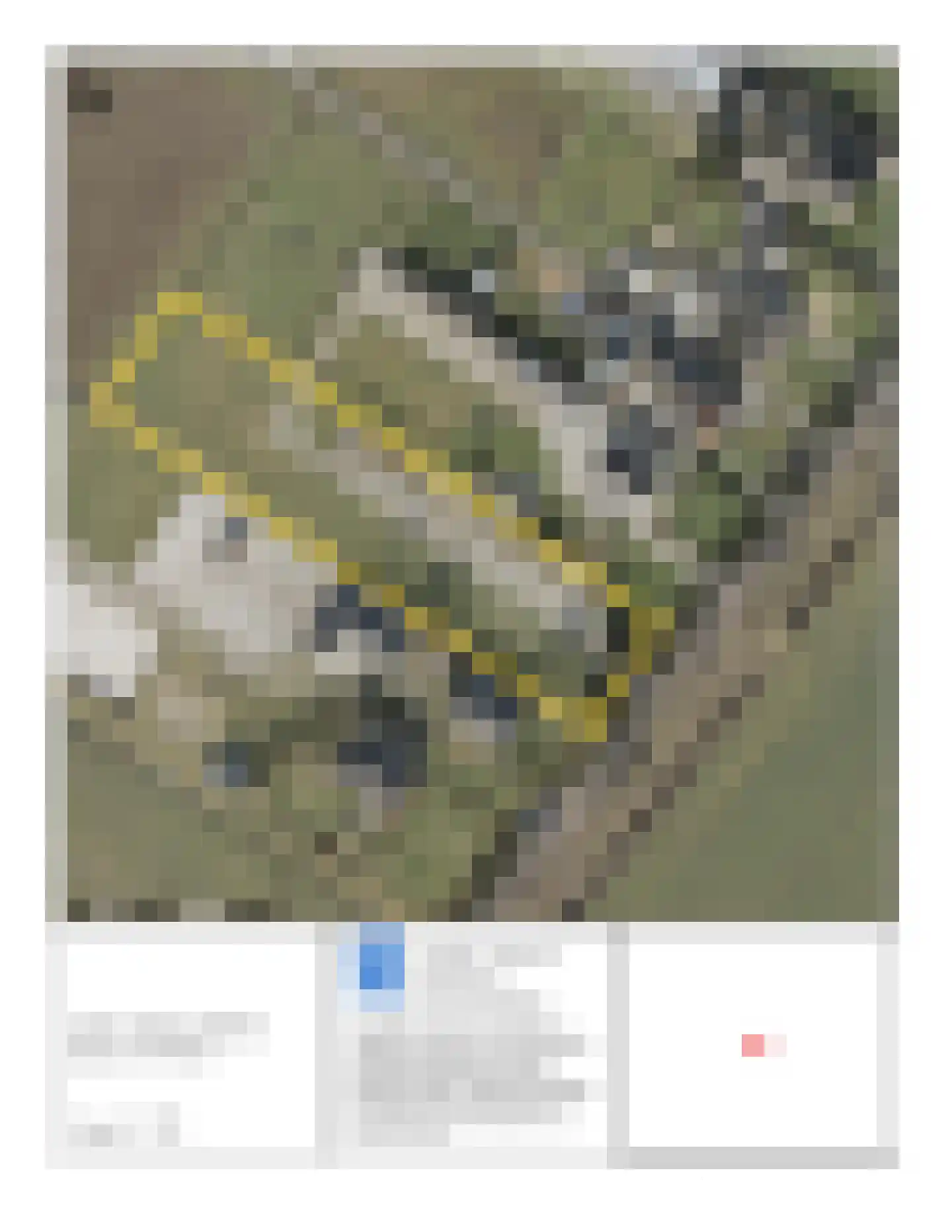 Veenschapsweg 41 Coevorden thumbnail 4