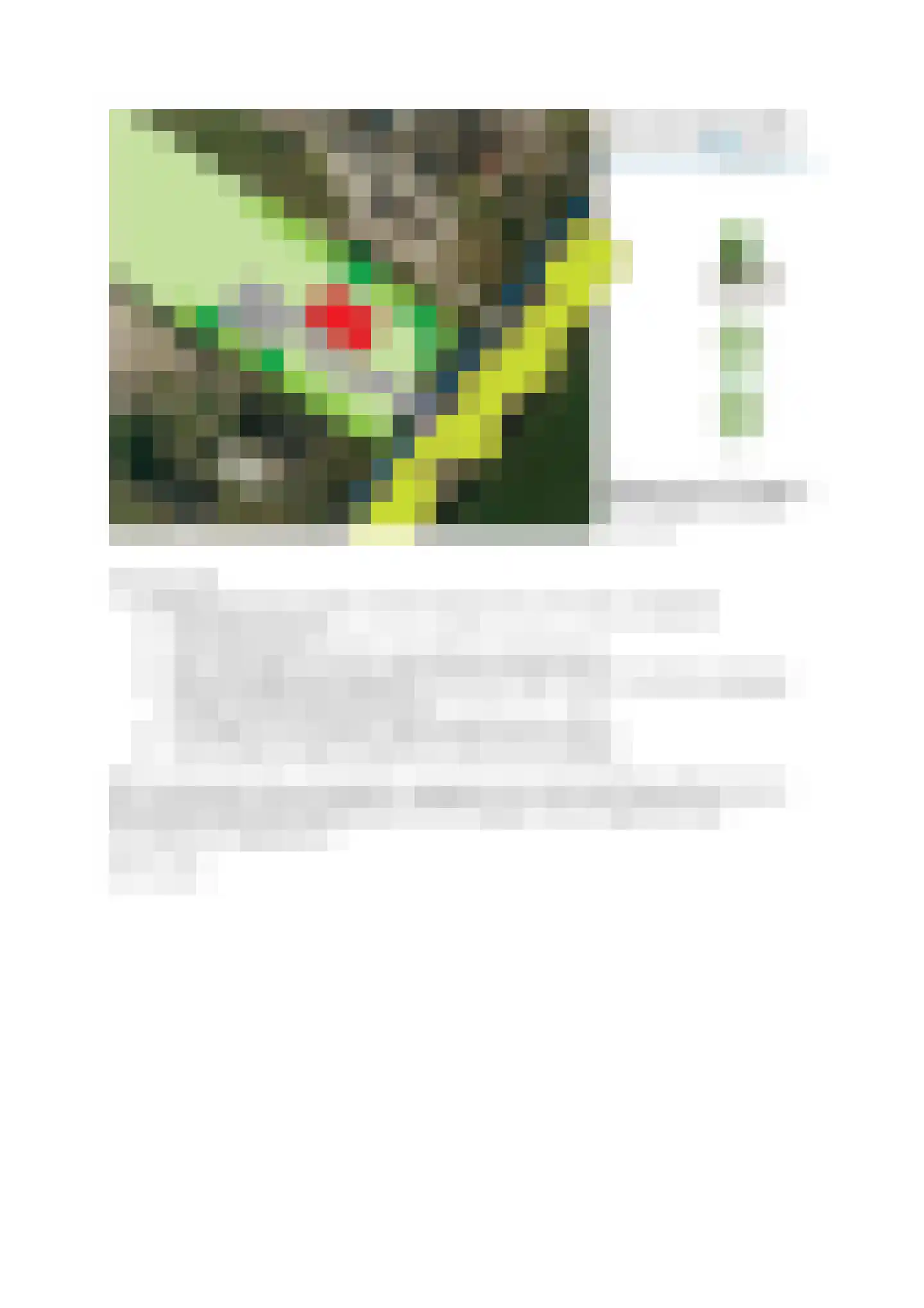 Veenschapsweg 41 Coevorden thumbnail 6