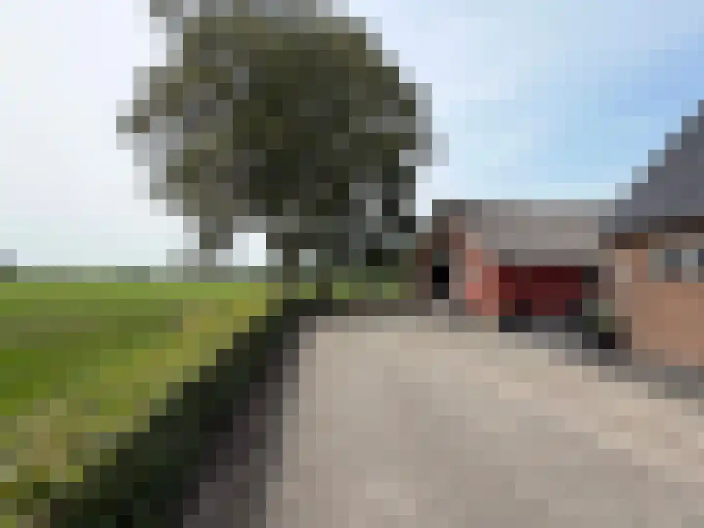 Veenschapsweg 44 Dalerpeel thumbnail 13