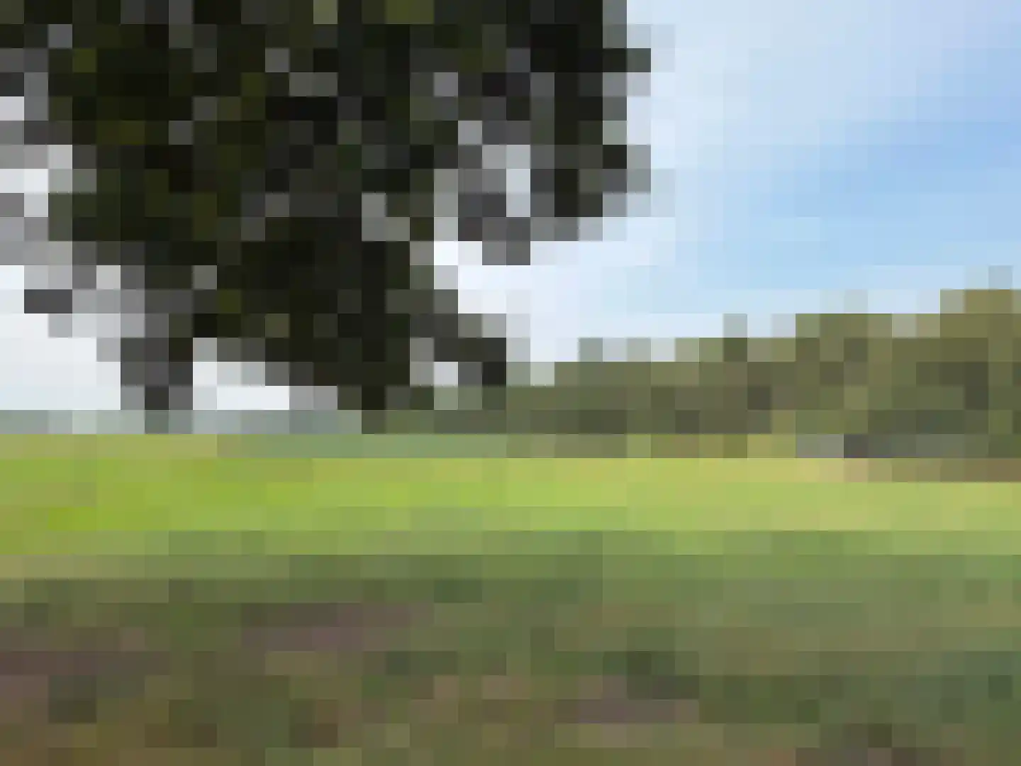 Veenschapsweg 44 Dalerpeel thumbnail 18
