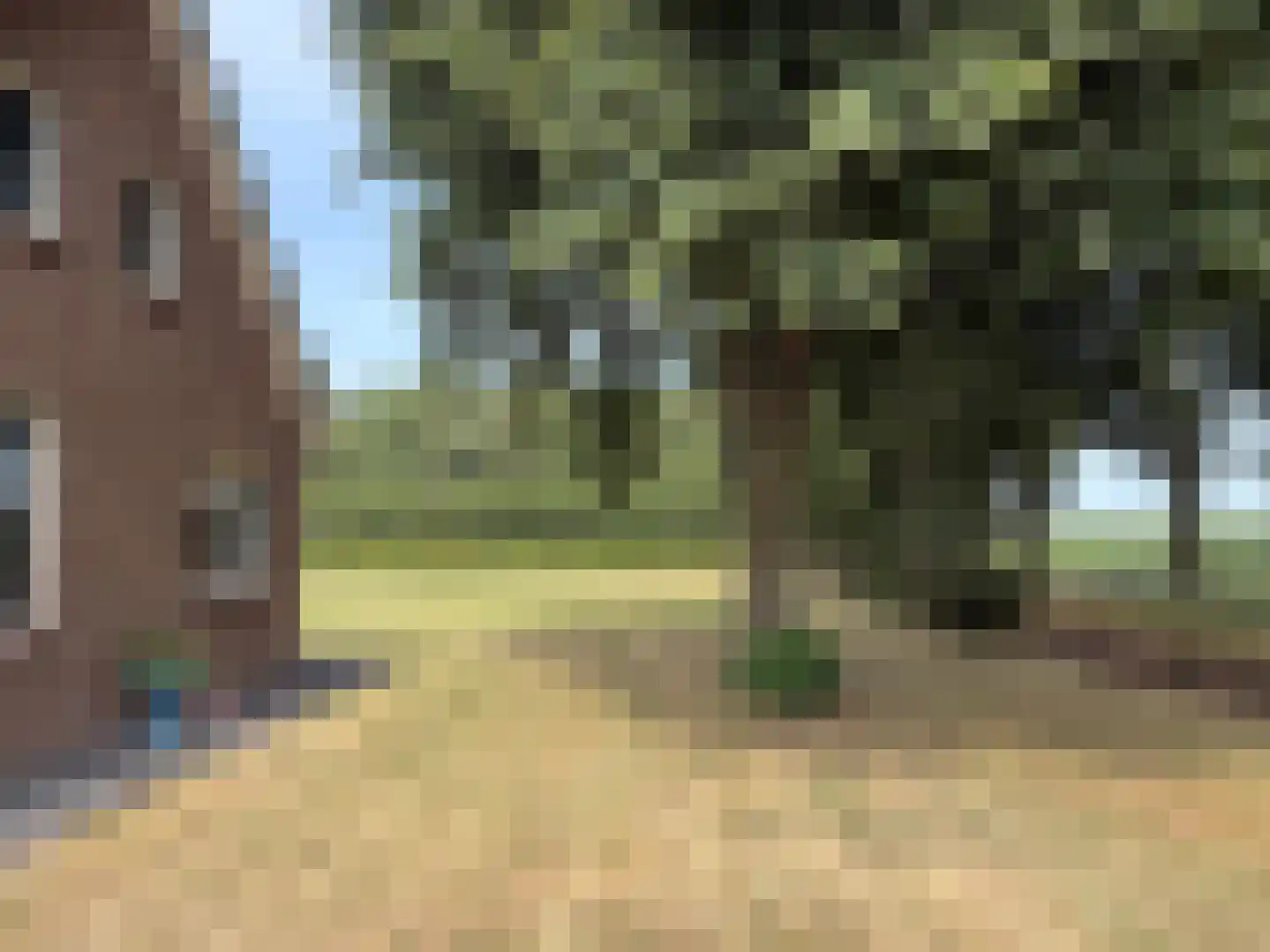 Veenschapsweg 44 Dalerpeel thumbnail 19