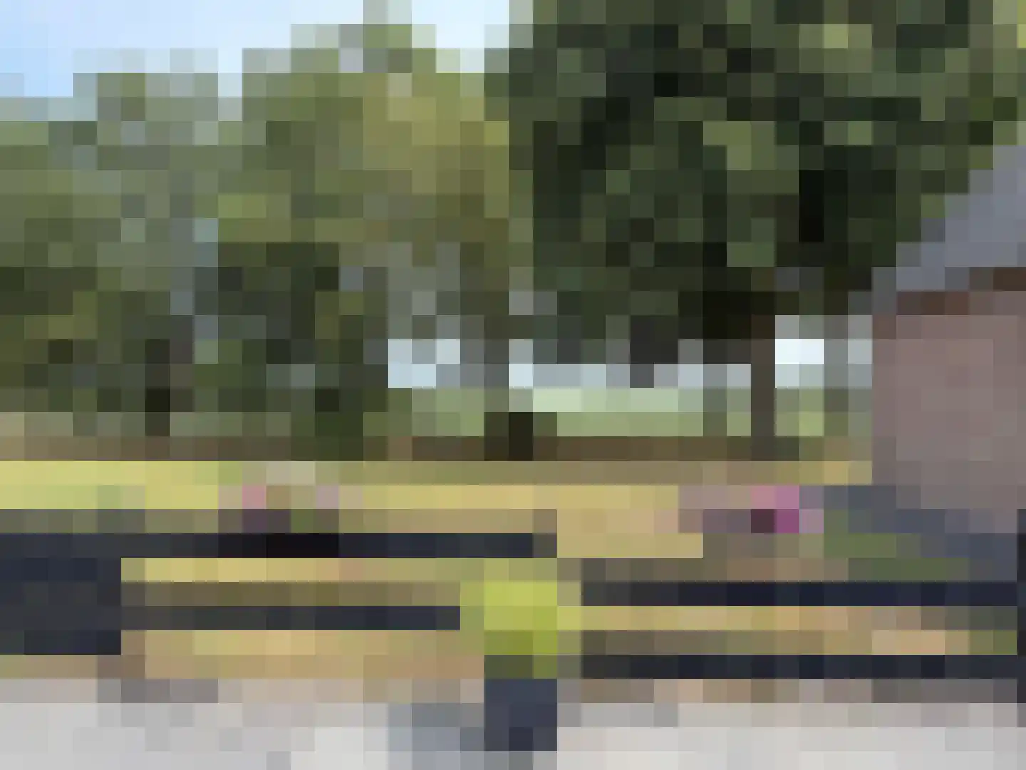 Veenschapsweg 44 Dalerpeel thumbnail 23