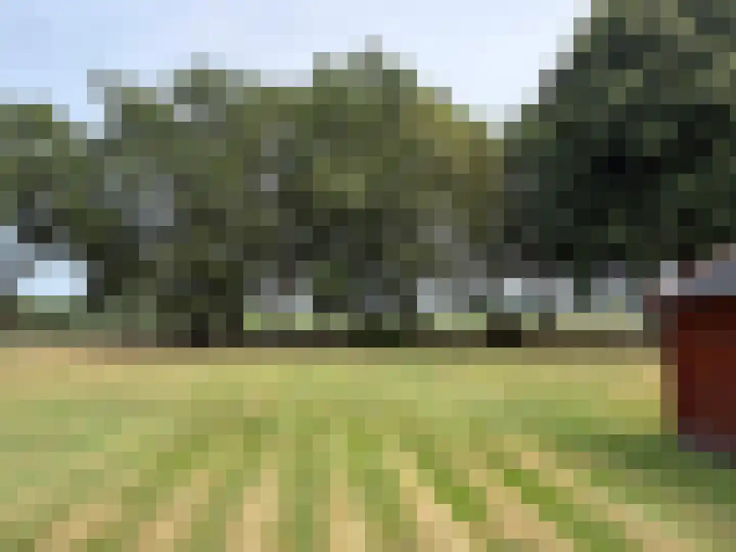 Veenschapsweg 44 Dalerpeel thumbnail 24