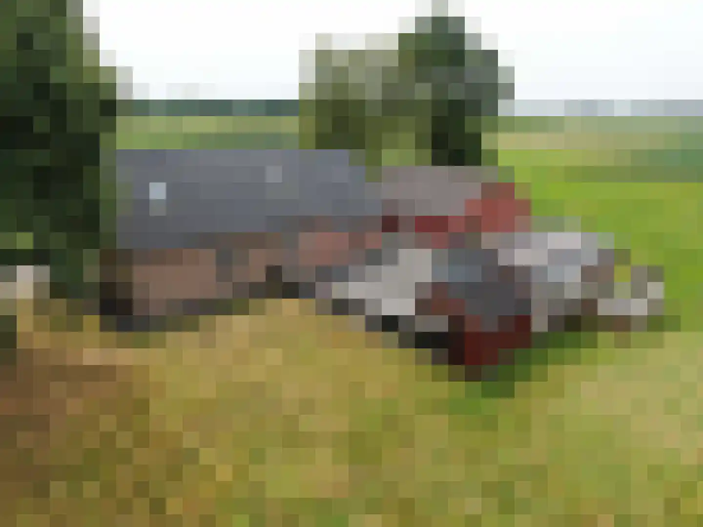 Veenschapsweg 44 Dalerpeel foto 3