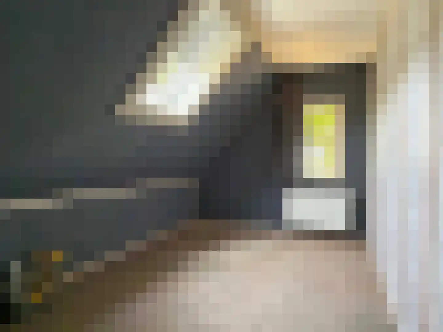 Veenschapsweg 44 Dalerpeel thumbnail 39