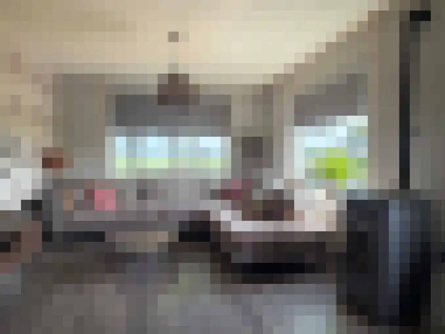 Veenschapsweg 44 Dalerpeel thumbnail 4