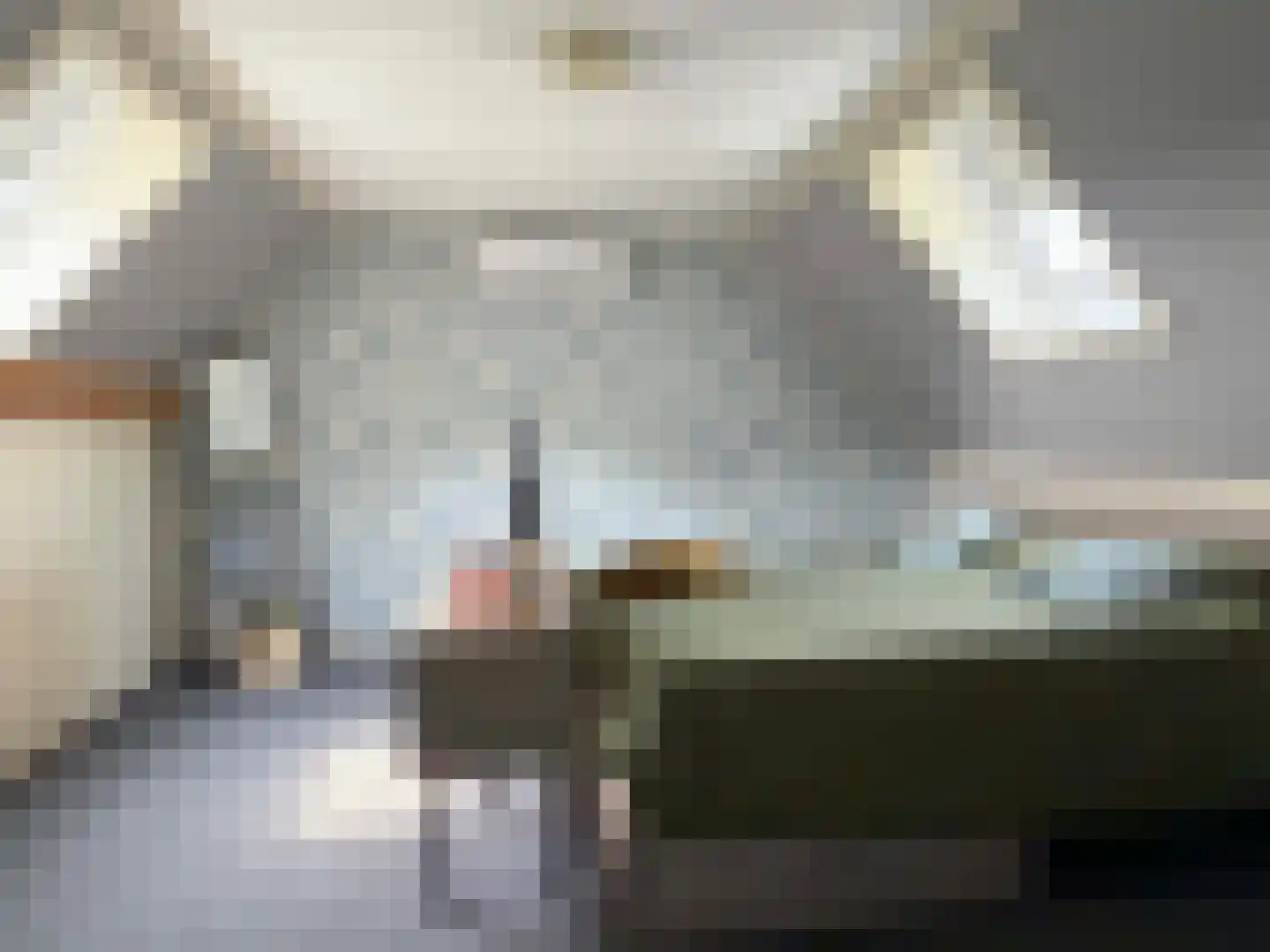 Veenschapsweg 44 Dalerpeel thumbnail 41