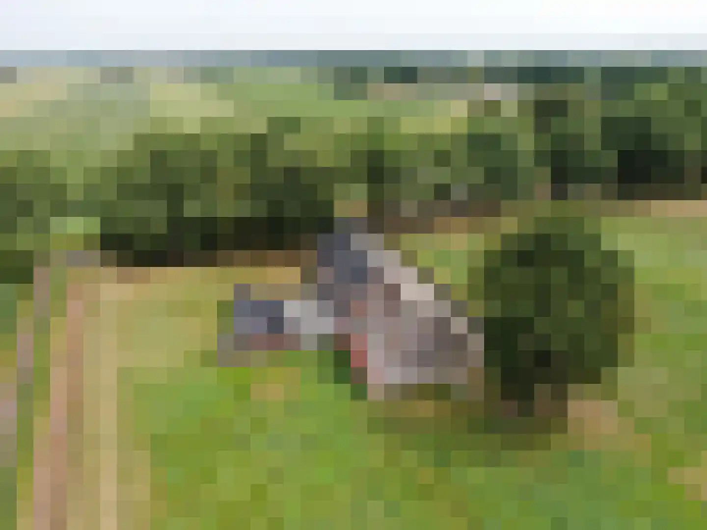 Veenschapsweg 44 Dalerpeel thumbnail 43