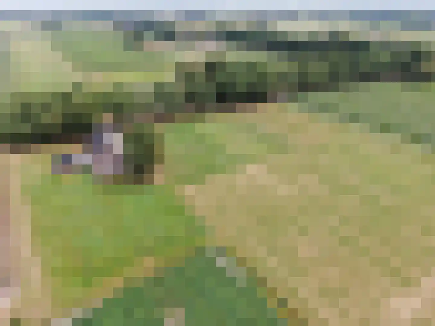 Veenschapsweg 44 Dalerpeel thumbnail 44