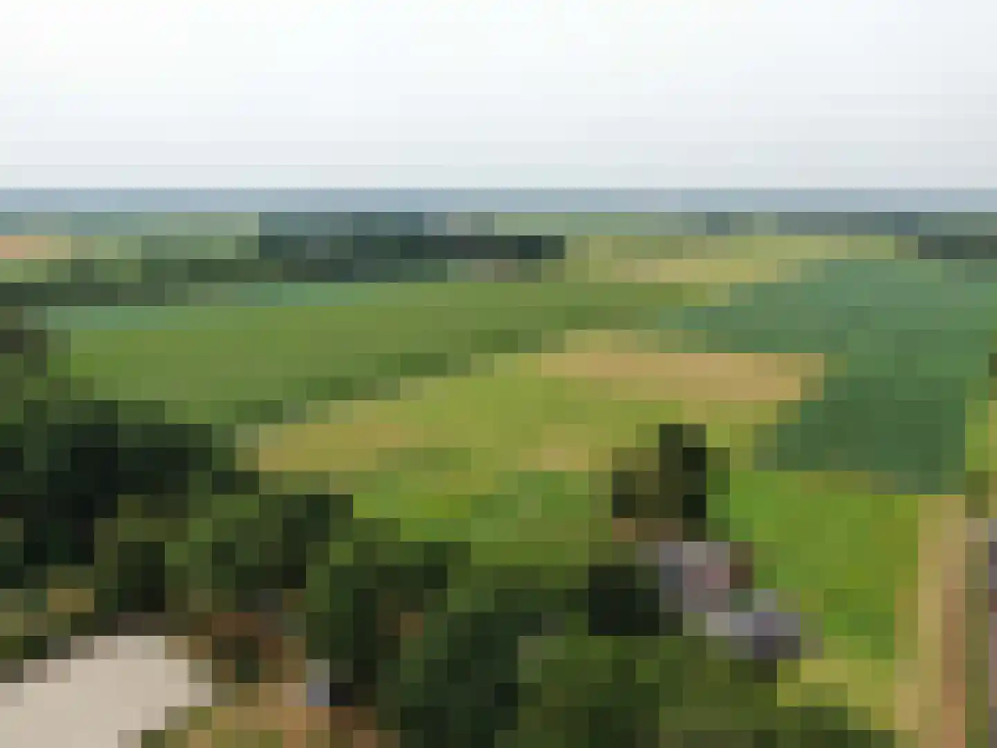 Veenschapsweg 44 Dalerpeel thumbnail 45